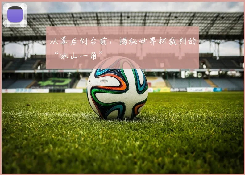 从幕后到台前,揭秘世界杯裁判的“冰山一角”