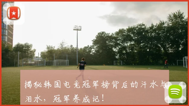 揭秘韩国电竞冠军榜背后的汗水与泪水，冠军养成记！