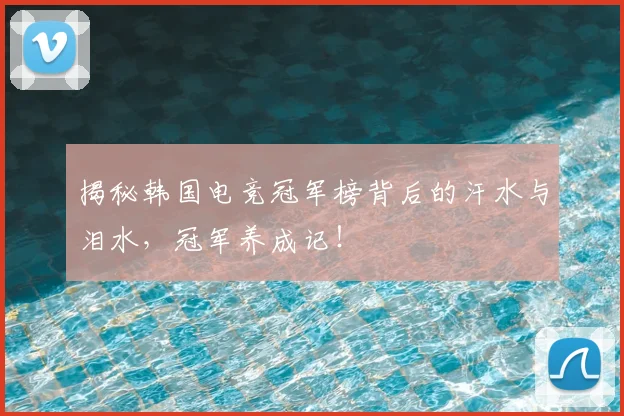 揭秘韩国电竞冠军榜背后的汗水与泪水,冠军养成记!