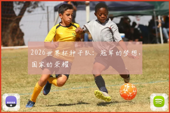 2026世界杯种子队:冠军的梦想,国家的荣耀