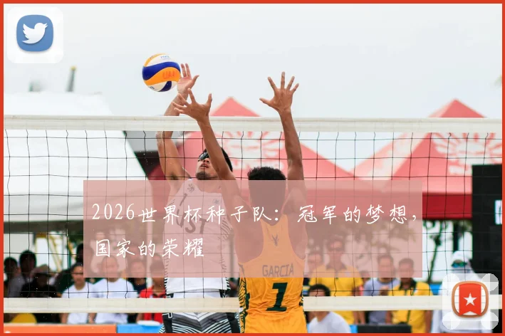 2026世界杯种子队:冠军的梦想,国家的荣耀